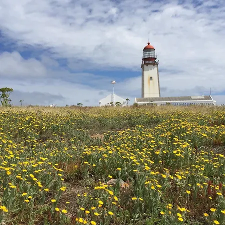 Sunny Near Obidos W Beaches 빌라